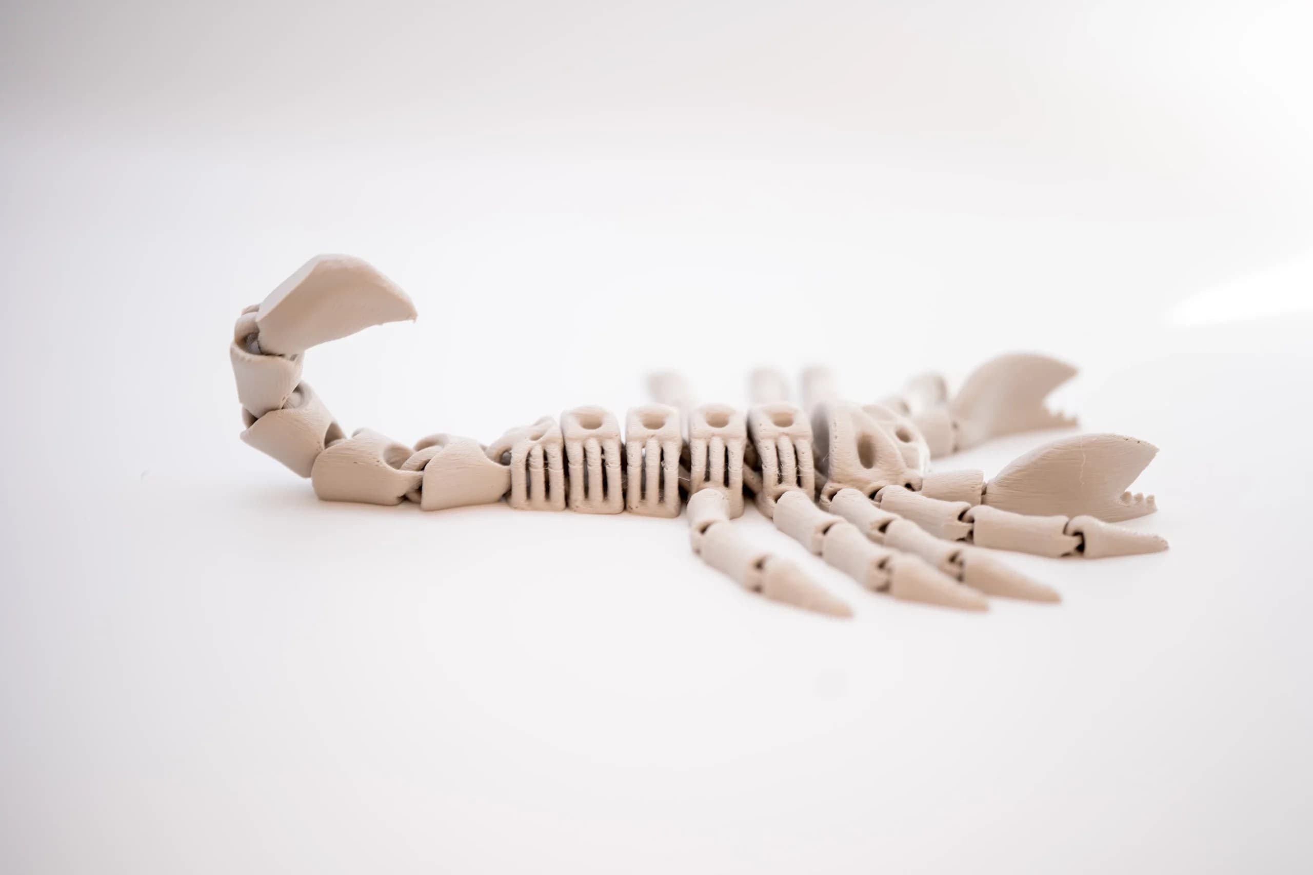 Spoolio Scorpion articule 6