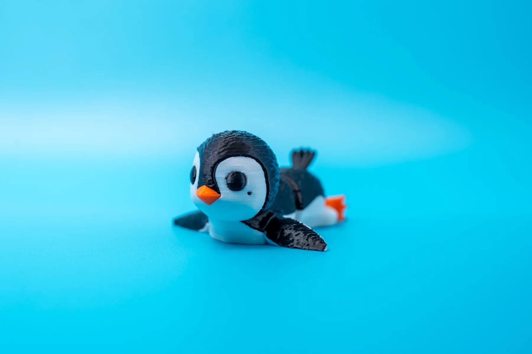 Spoolio animaux banquise 38