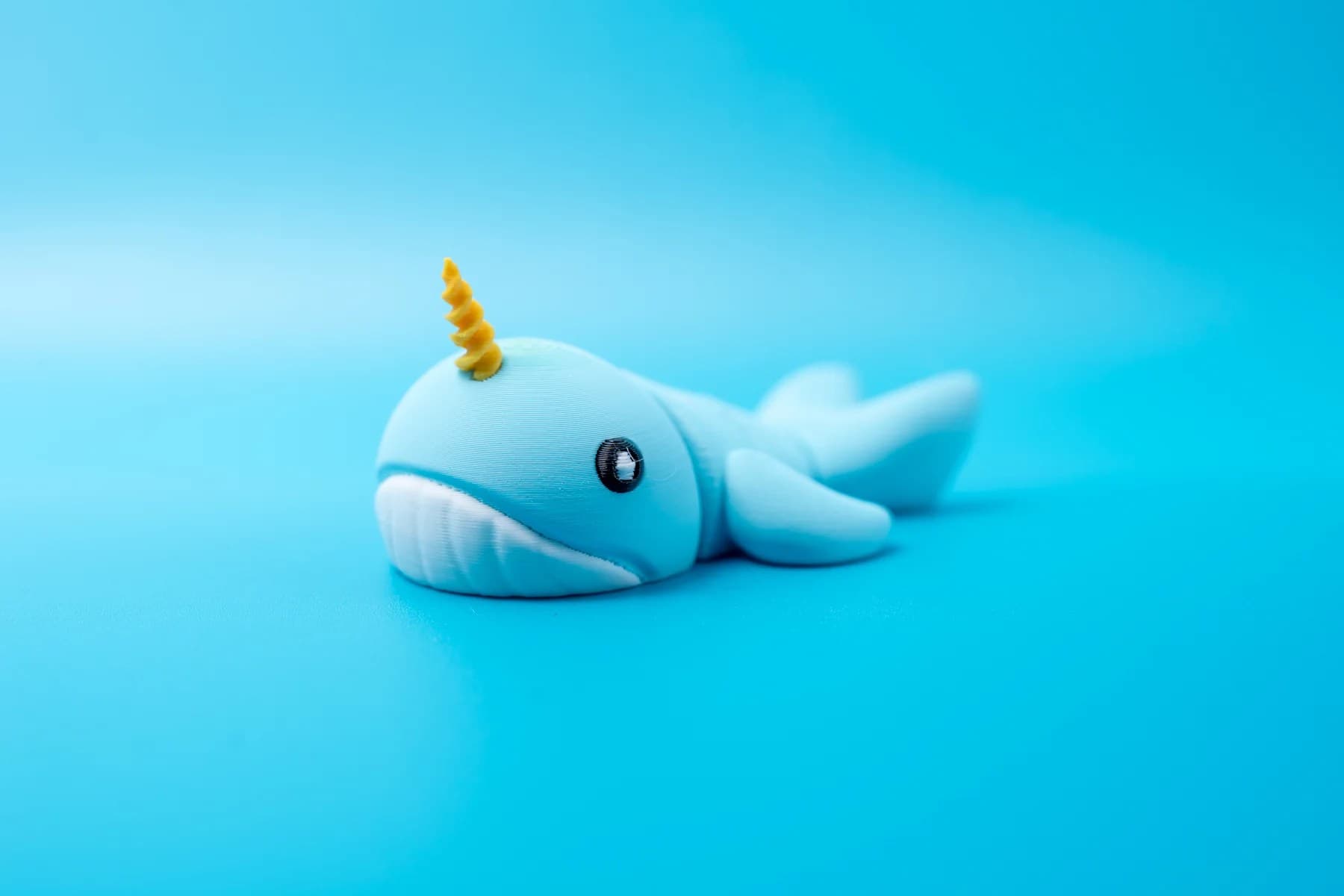 Spoolio animaux banquise 41
