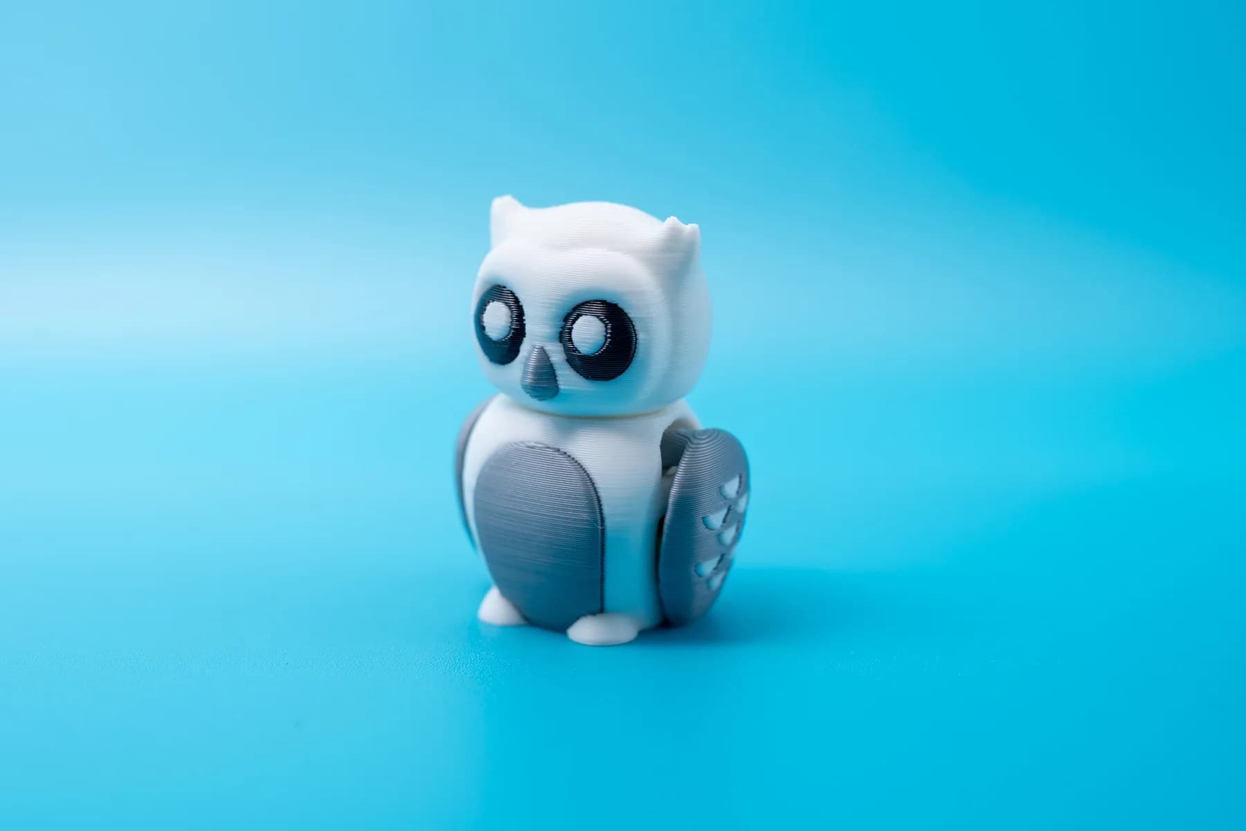 Spoolio animaux banquise 42