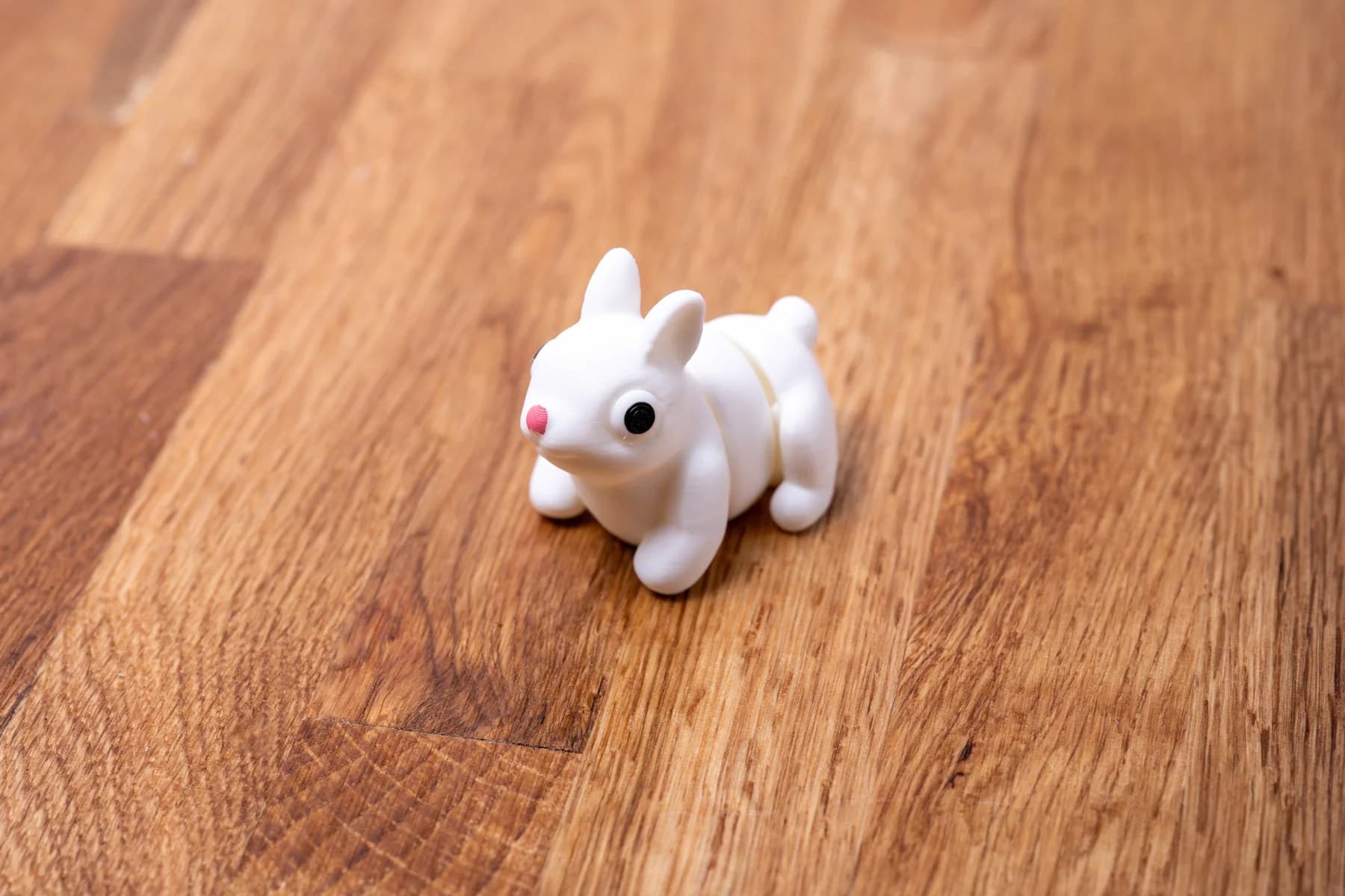 Spoolio animaux foret 03