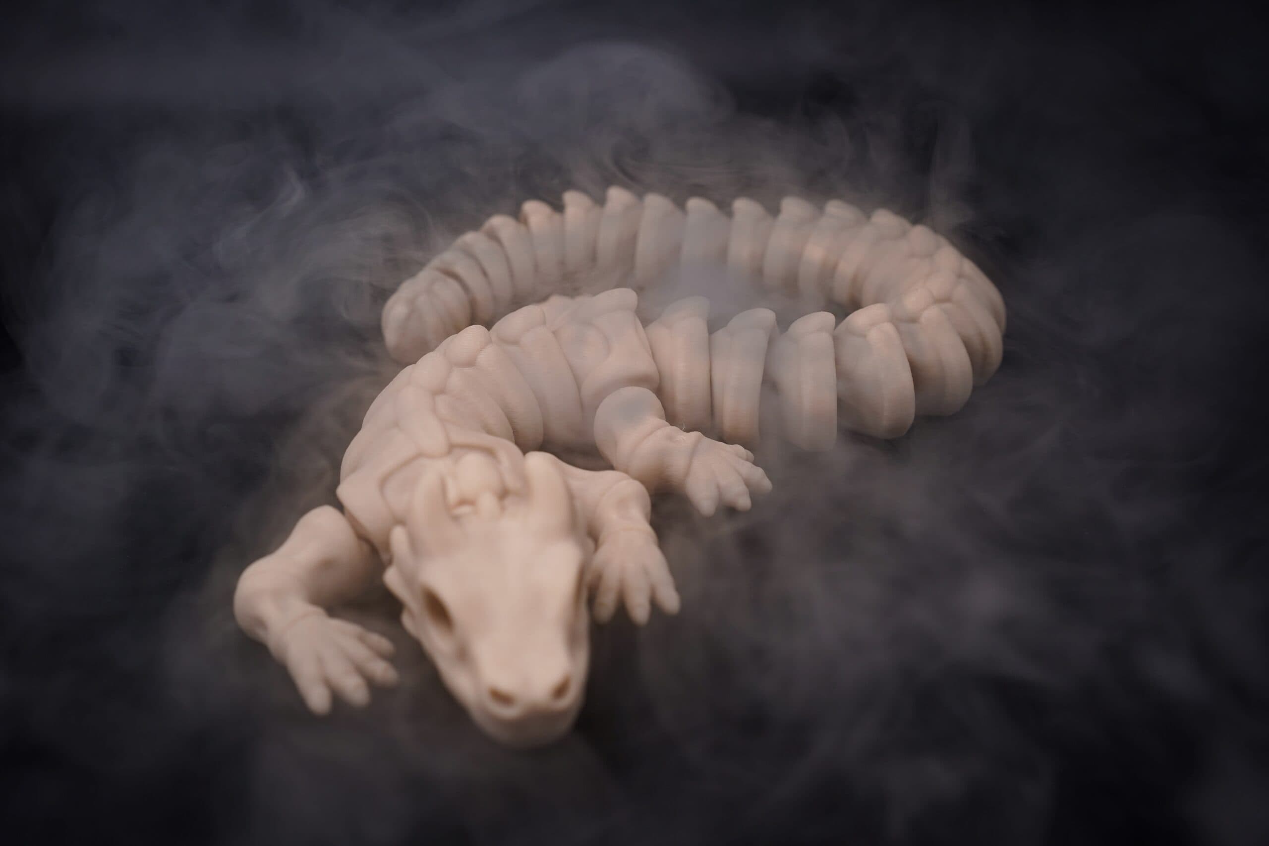 Spoolio DragonSquelette 5
