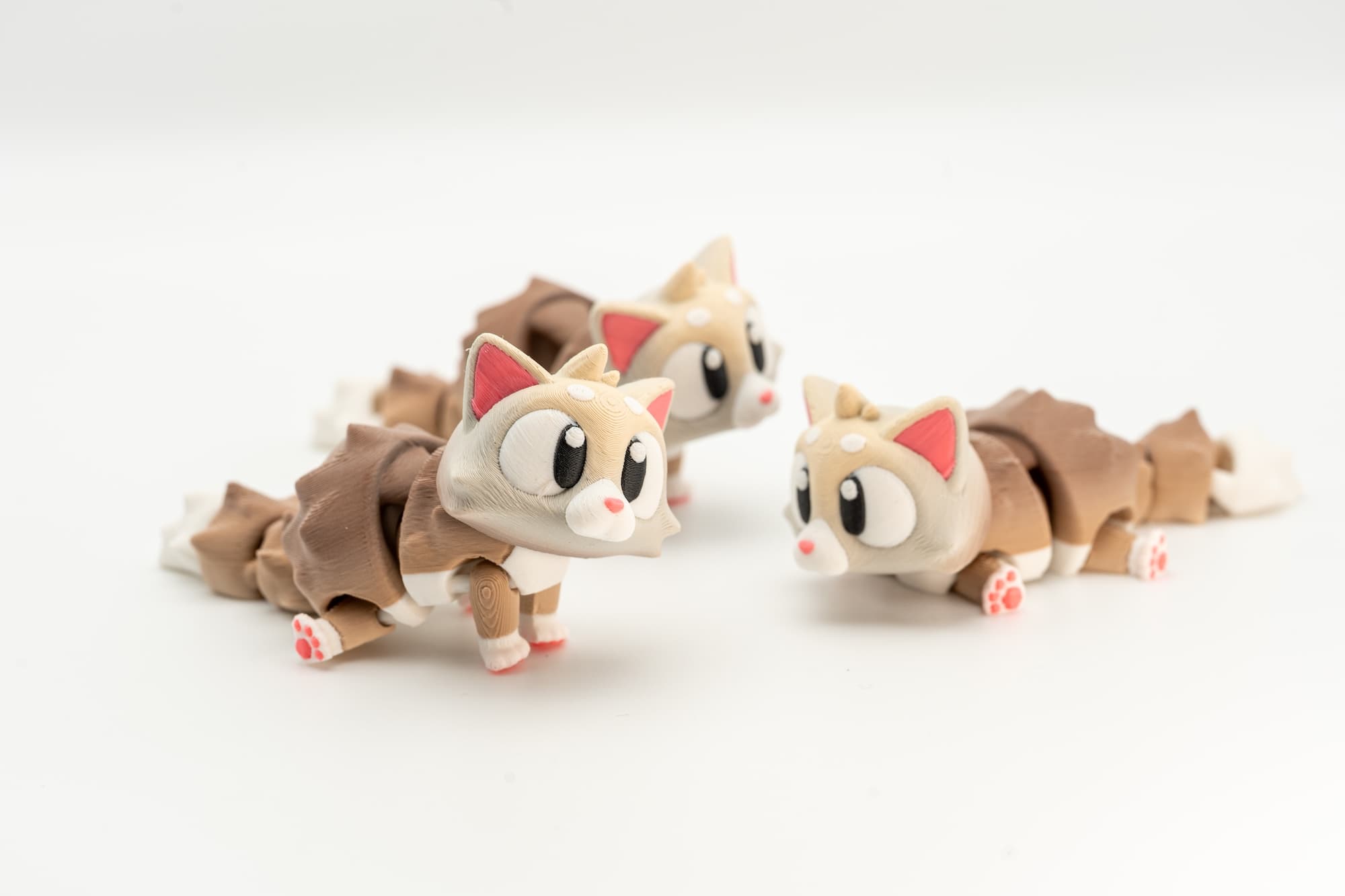 Spoolio chaton articule 1