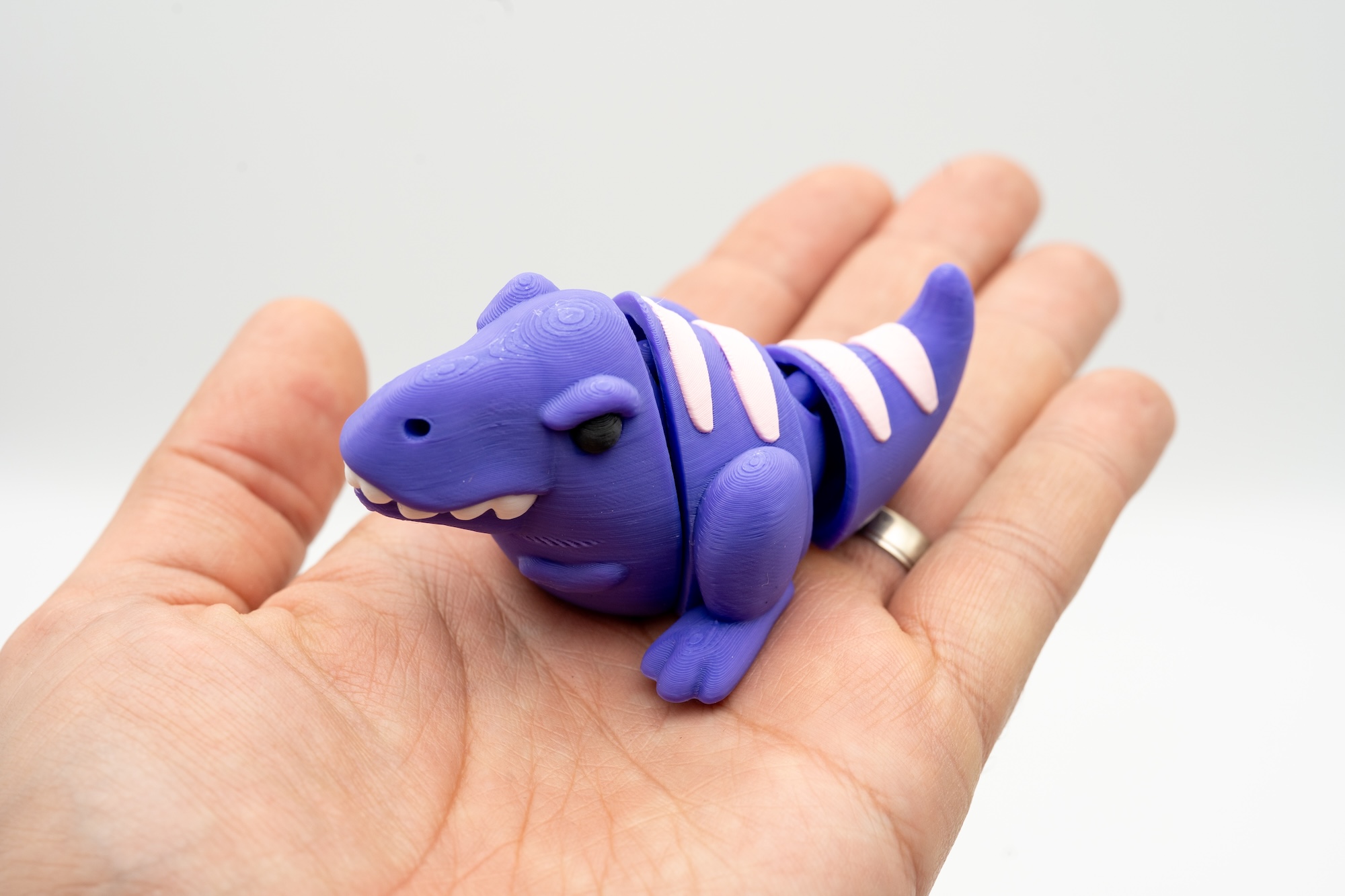 Spoolio Trex Raleur